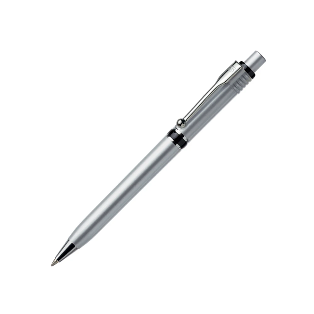 Raja Chrome Silver